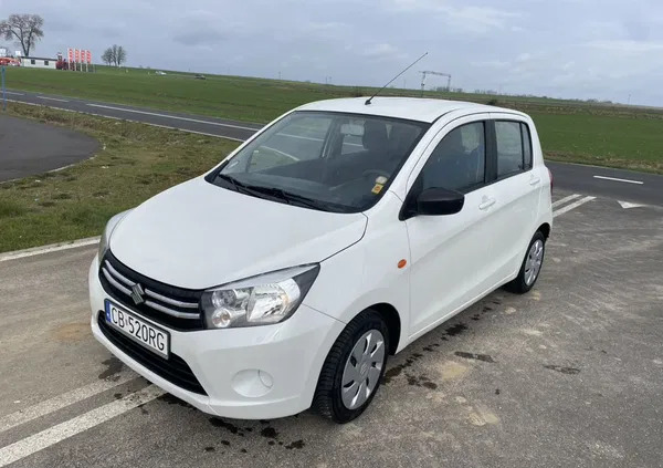 suzuki Suzuki Celerio cena 26200 przebieg: 59000, rok produkcji 2019 z Brzostek